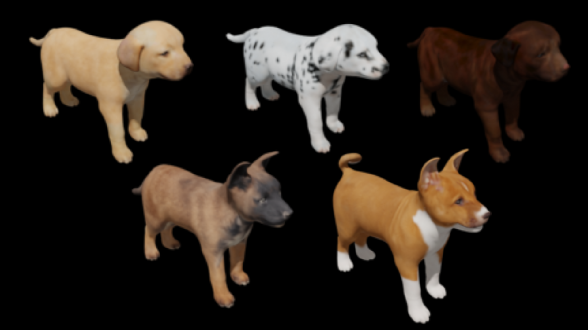 3D Dog Puppies